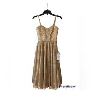 Dress the Population formal gold dress